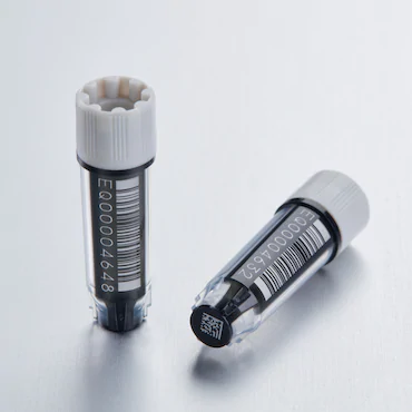 艾本德Eppendorf CryoStorage Vial，無(wú)菌, 無(wú)菌, 0.5 mL, 不含 DNase、RNase、人類(lèi) DNA 和內(nèi)毒素；外螺紋，預(yù)先加蓋灰色管蓋，帶 2D SafeCode 